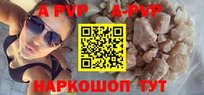кокс Кингисепп