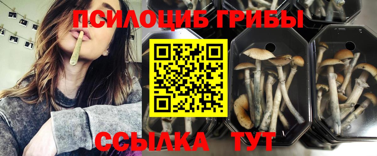 Галлюциногенные грибы мухоморы  Вход с VPN  Елизово 