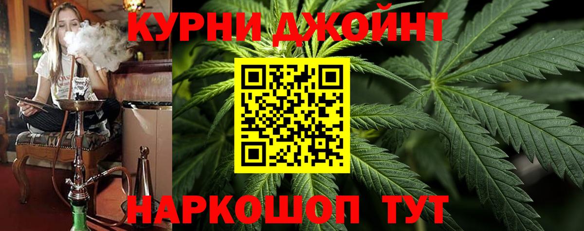 Канабис сатива  Вход с VPN  Бошки марихуана ГИДРОПОН  Бошки Шишки планчик  Елизово 